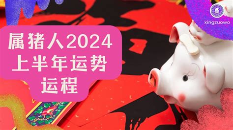 2024猪运程